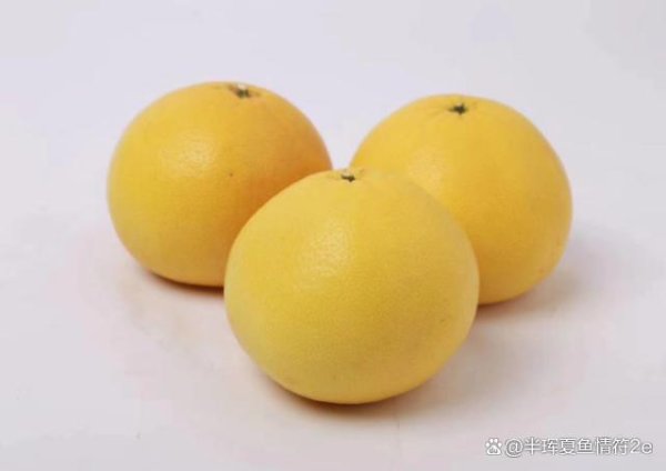 配资查询之家 阿坝欧盟有机产品认证