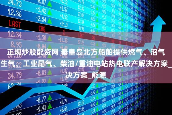 正规炒股配资网 秦皇岛北方船舶提供燃气、沼气、伴生气、工业尾气、柴油/重油电站热电联产解决方案_能源