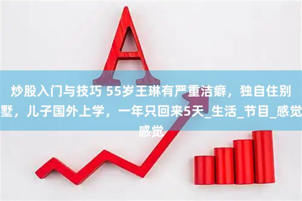 炒股入门与技巧 55岁王琳有严重洁癖，独自住别墅，儿子国外上学，一年只回来5天_生活_节目_感觉